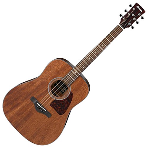 Natural Acoustic Guitar G570
