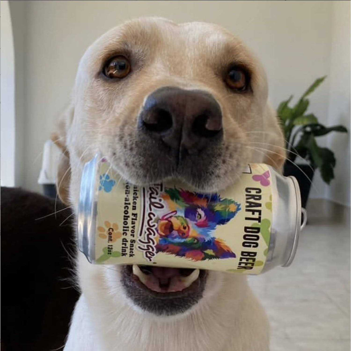 12 oz Chicken Dog Beer 4-pack L860