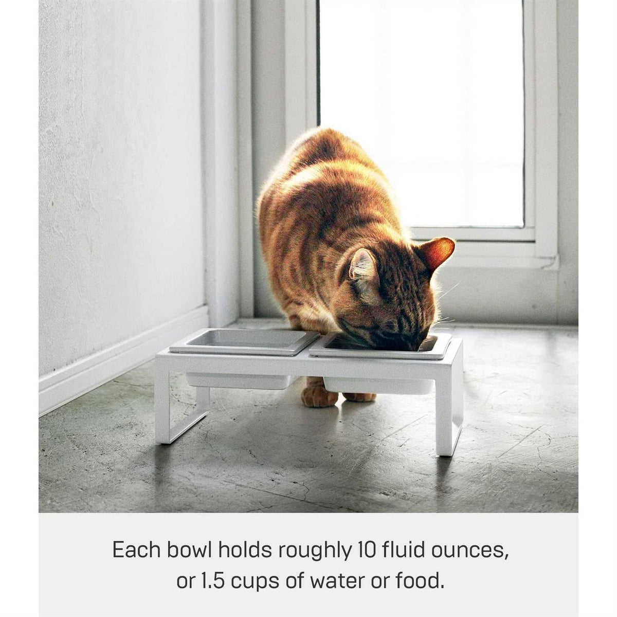 Pet Food Bowl S1081