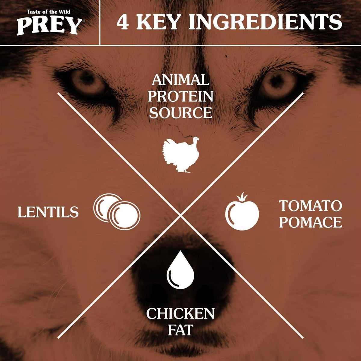 Dog Food Turkey W174