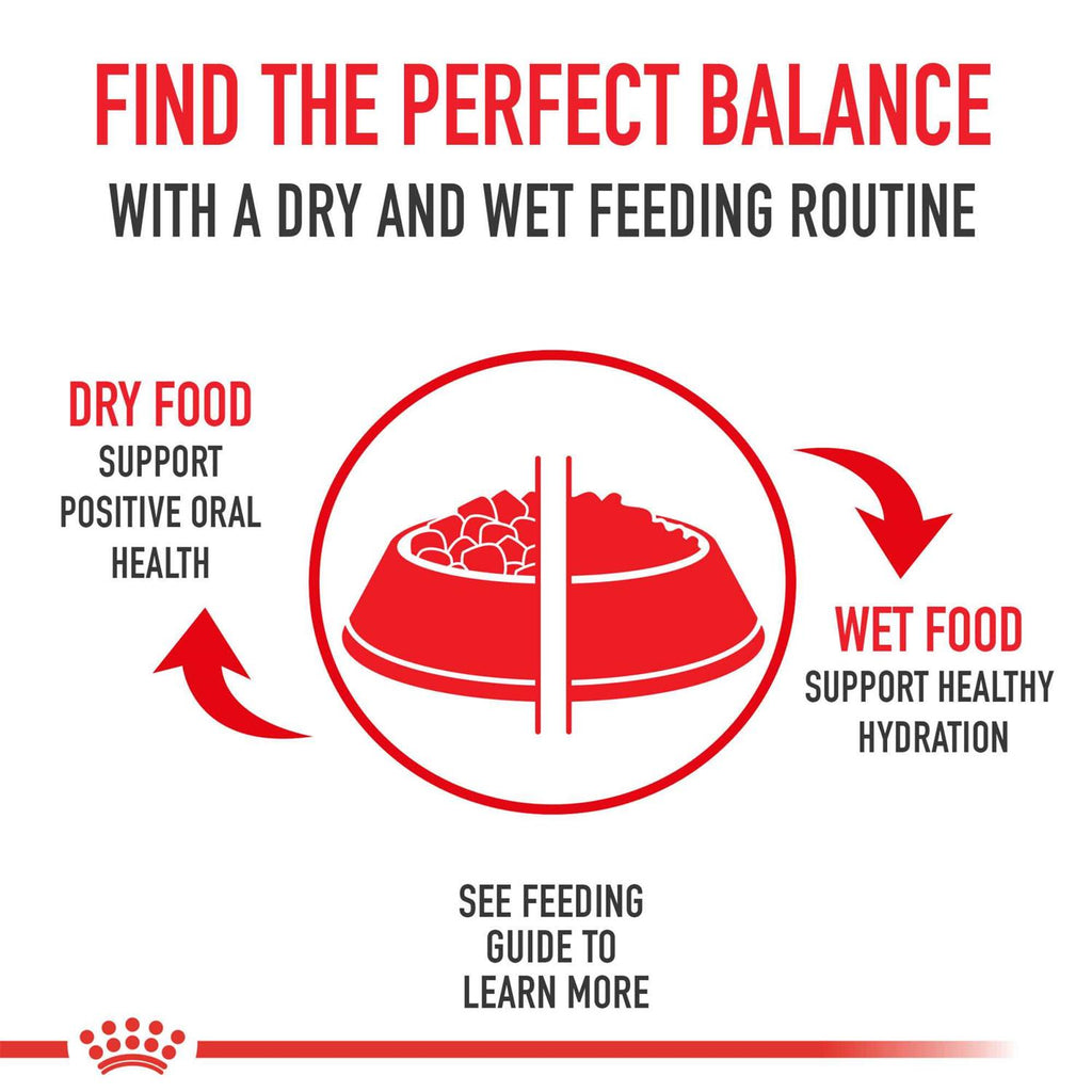 Bulldog Adult Dry Dog Food P545349