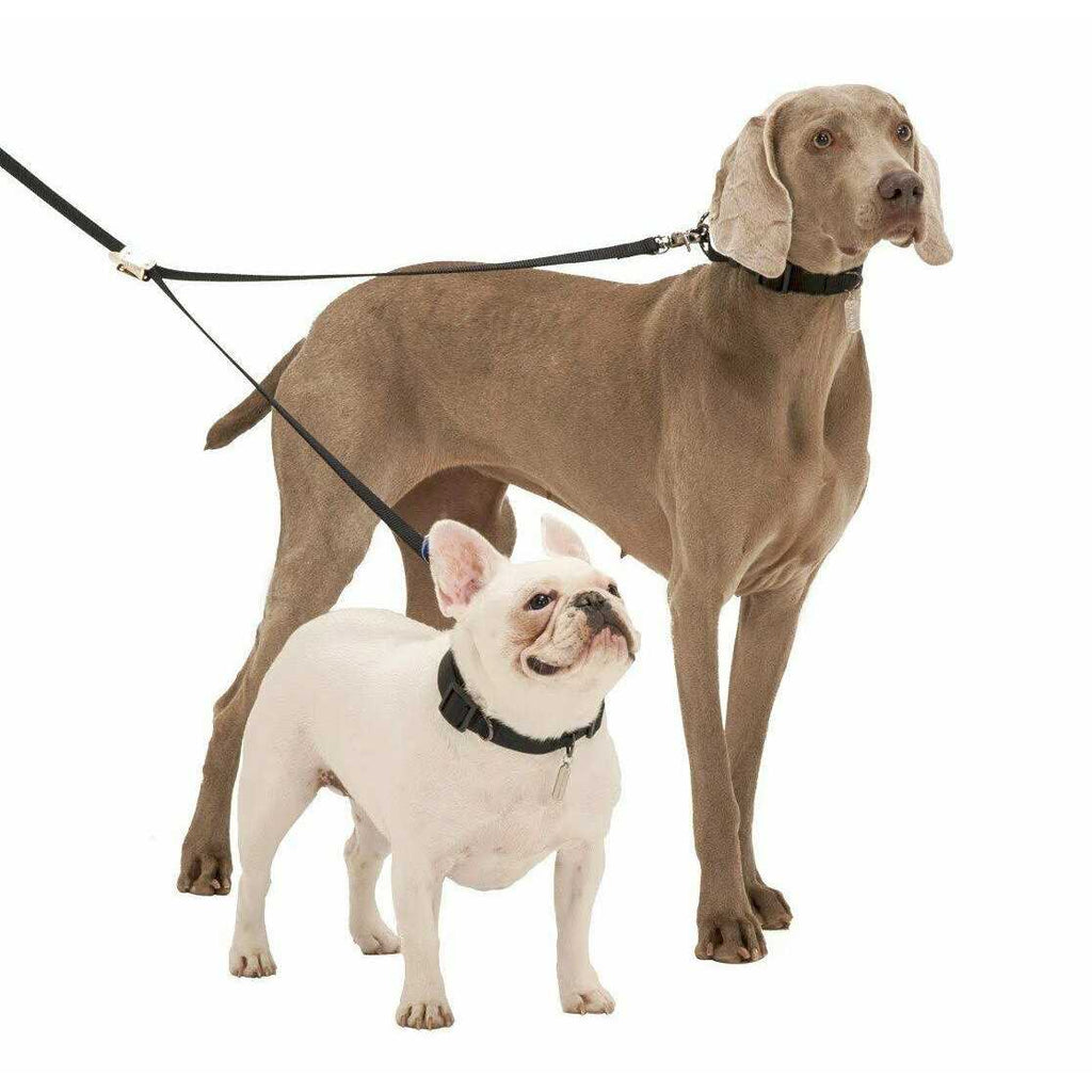 Double-Dog Leash O516