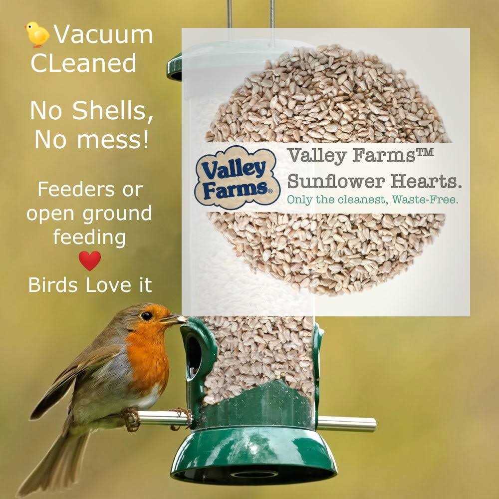 Sunflower Hearts Wild Bird Food Y266