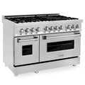 7 Burner Double Oven Dual Fuel Range with Brass Burners in Stainless Steel H863