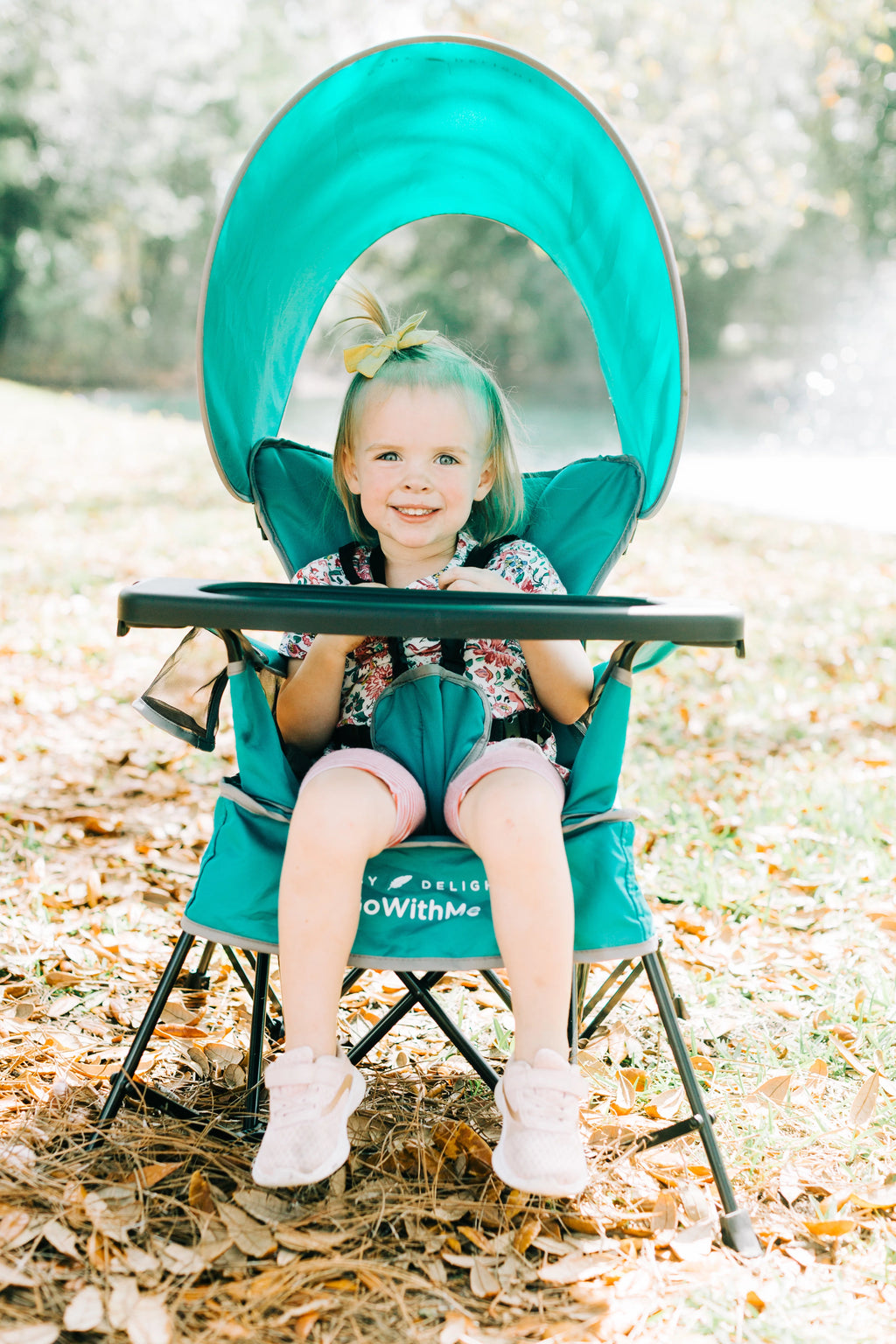Portable Infant Chair with Removable Canopy, Teal D427