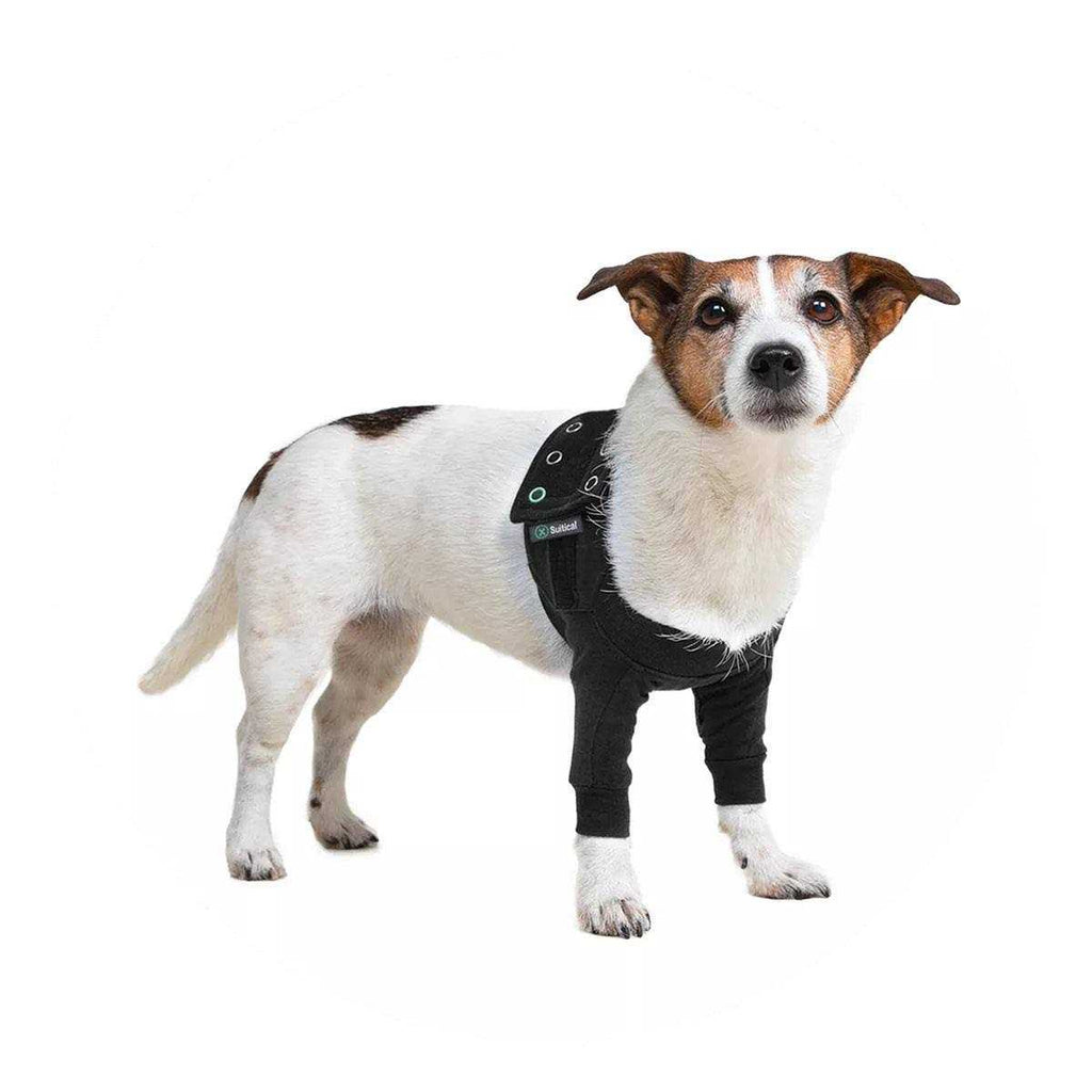 Dog Recovery Sleeves I5868