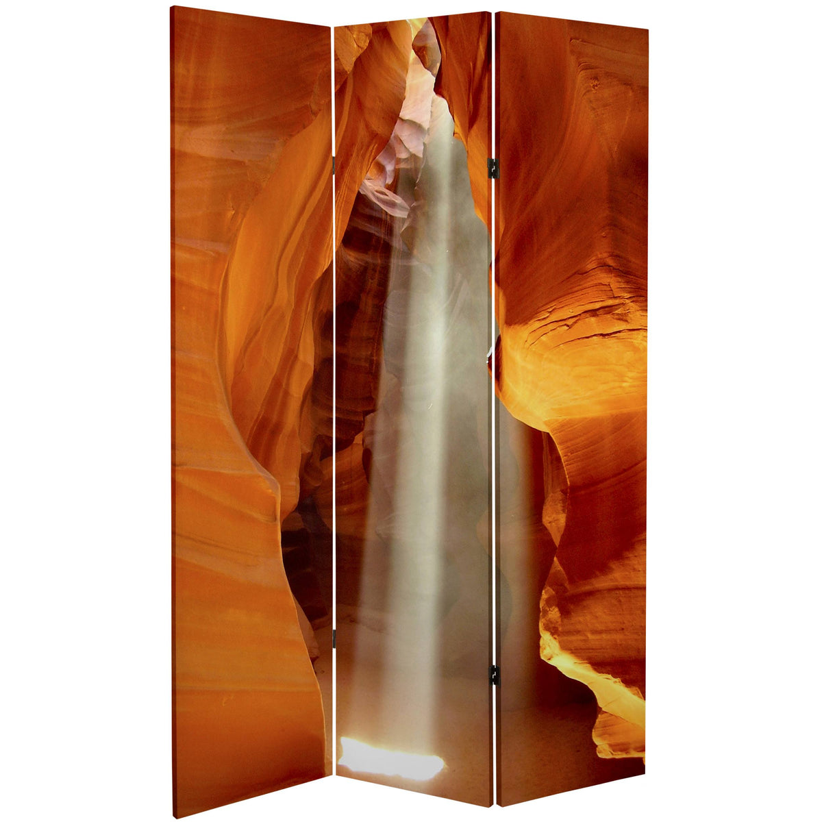 Tall Double Sided Painted Desert Canvas Room Divider P1272