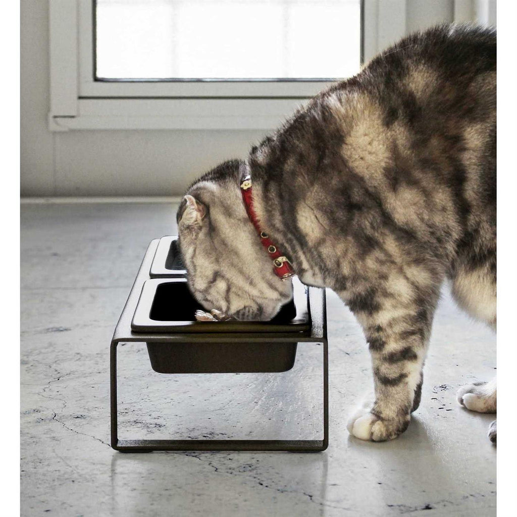 Pet Food Bowl S1081