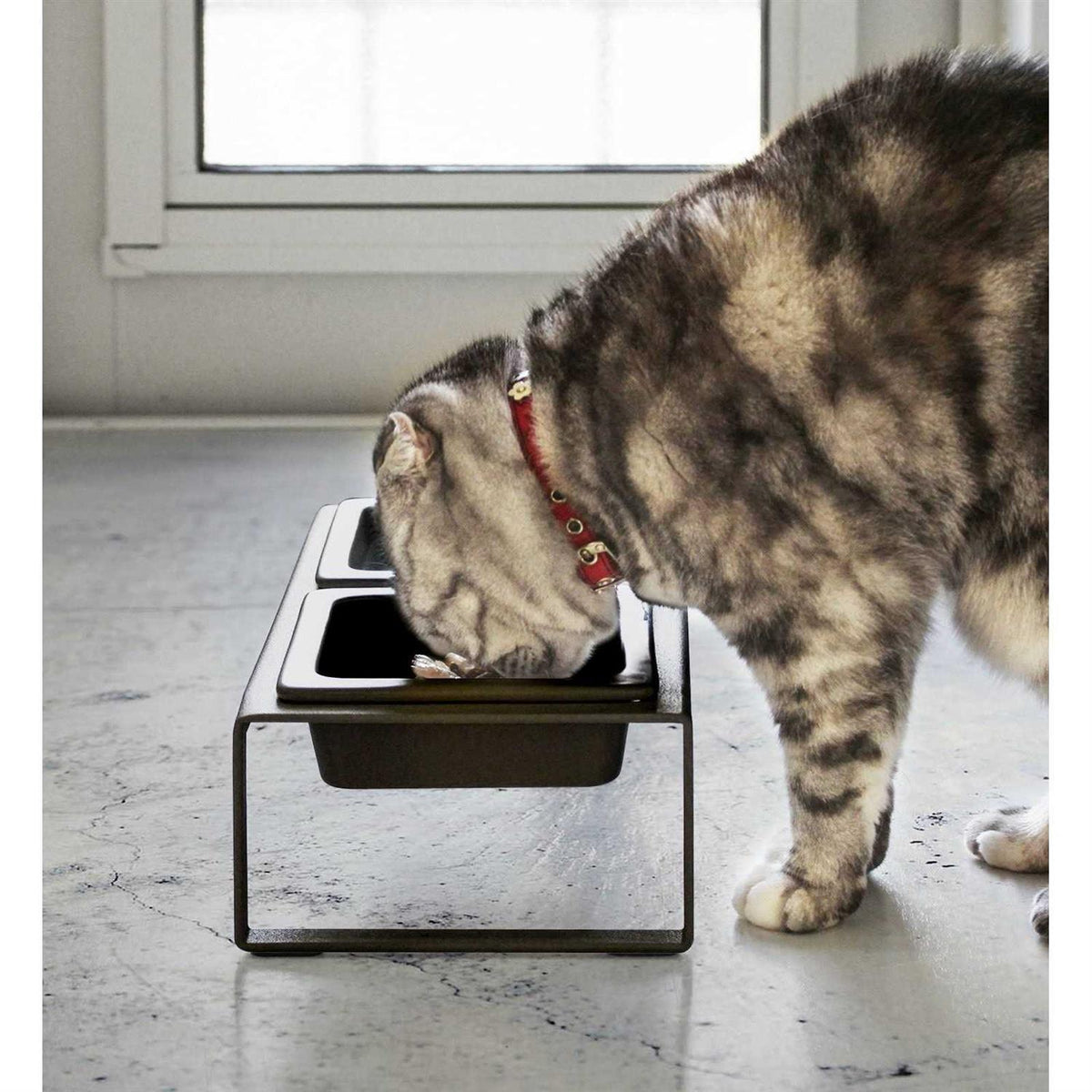 Pet Food Bowl S1081