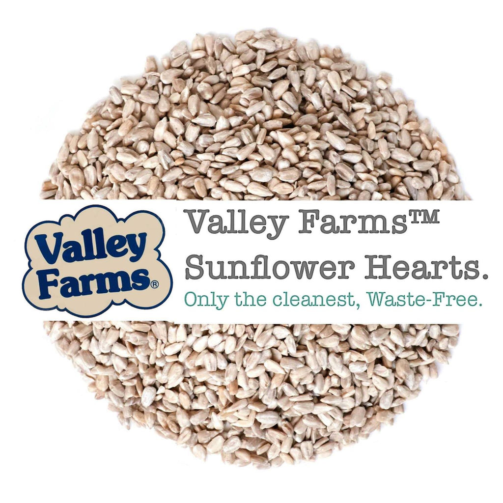 Sunflower Hearts Wild Bird Food Y266