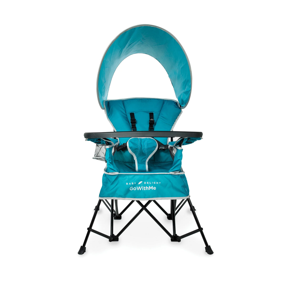 Portable Infant Chair with Removable Canopy, Teal D427