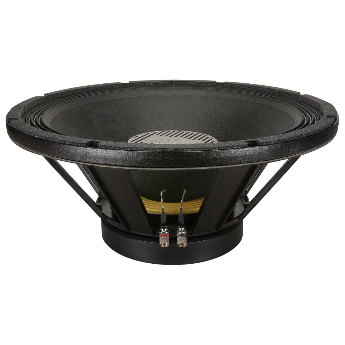 18A Stage Speaker J36420