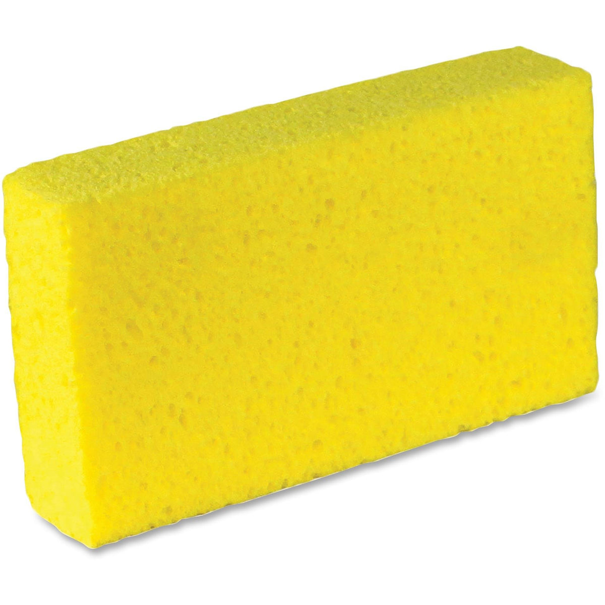 Large Cellulose Sponges D404