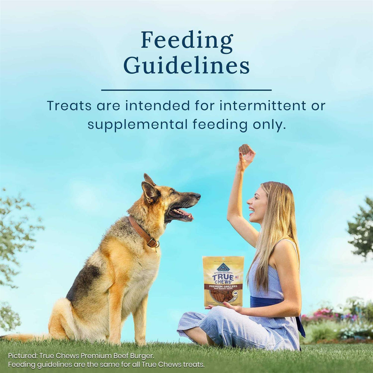 Pork & Chicken Sausage Natural Dog Treats H26335