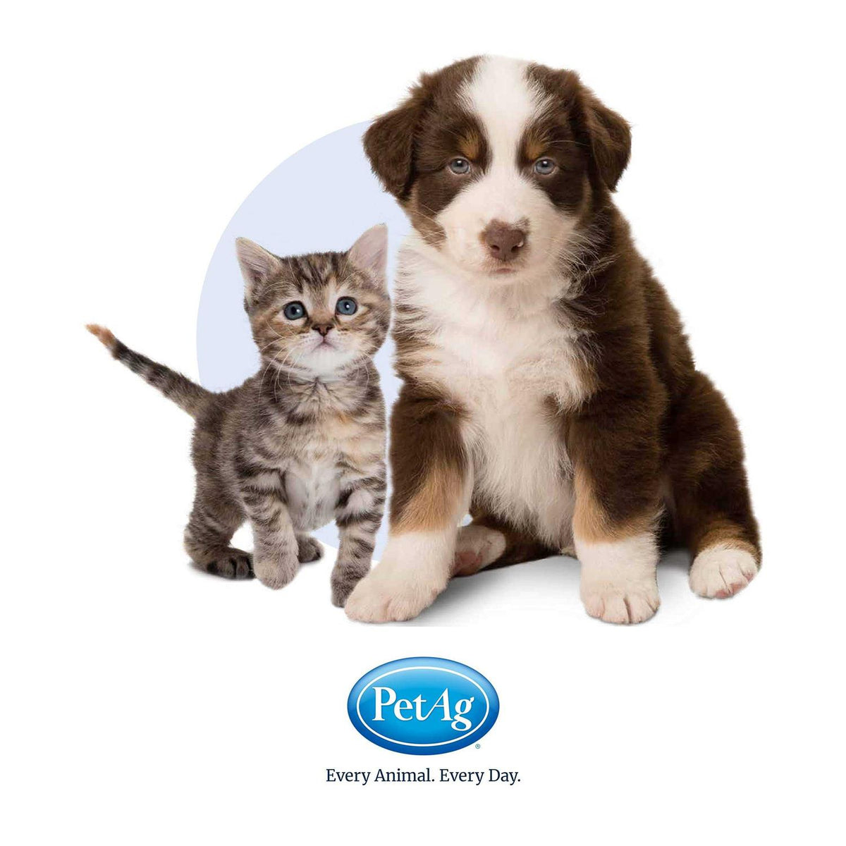 High Calorie Gel for Cats Q447090