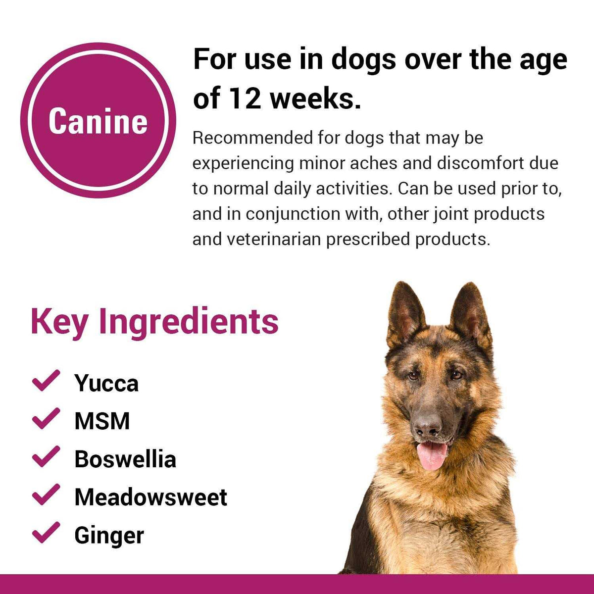 Pain Plus for Dogs U788998