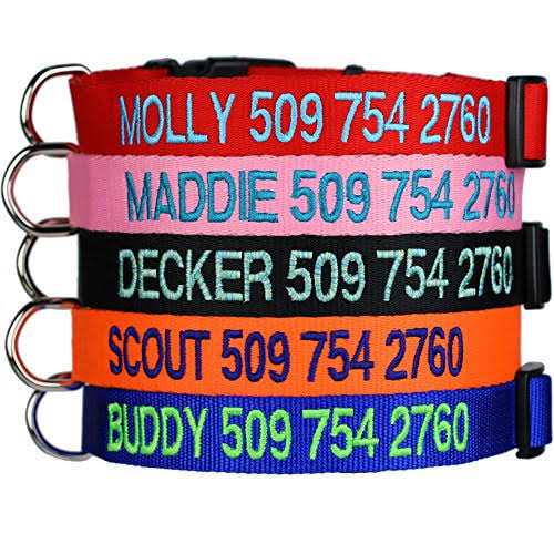 Personalized Dog Collar O74775