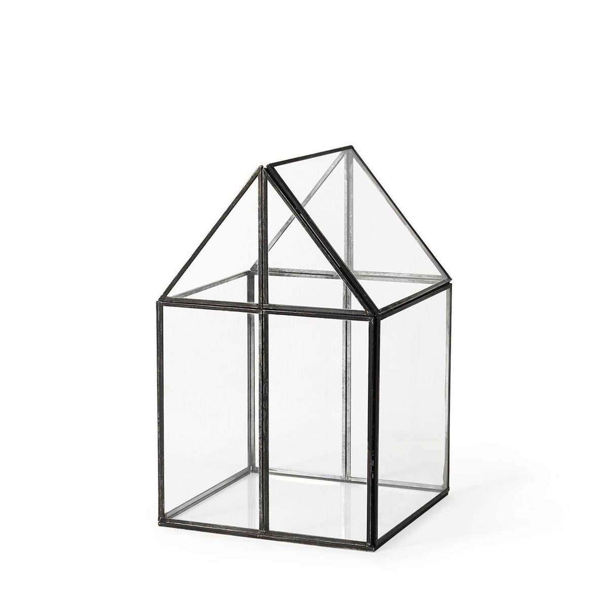 Glass Terrarium R61184