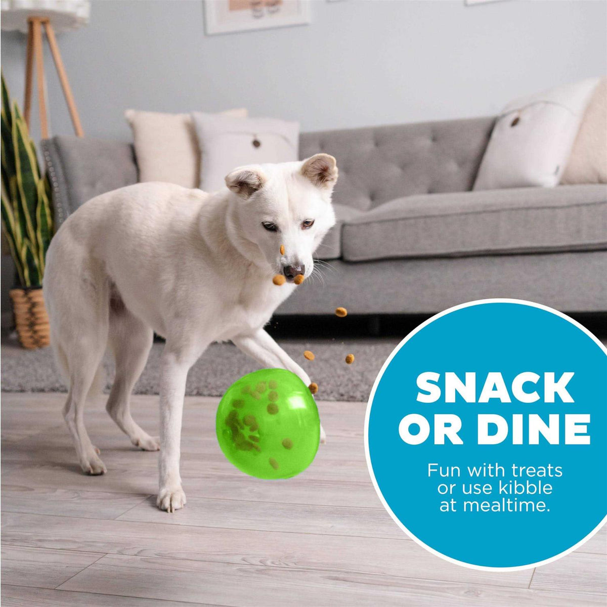 Interactive Treat Dispensing Dog Toy M29473