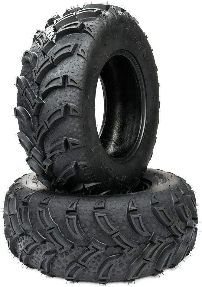 2 PCS All Terrain Tubeless ATV UTV Tires 25x10-12 Rear 6PR Y373