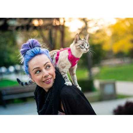 Cat Harness Z2134