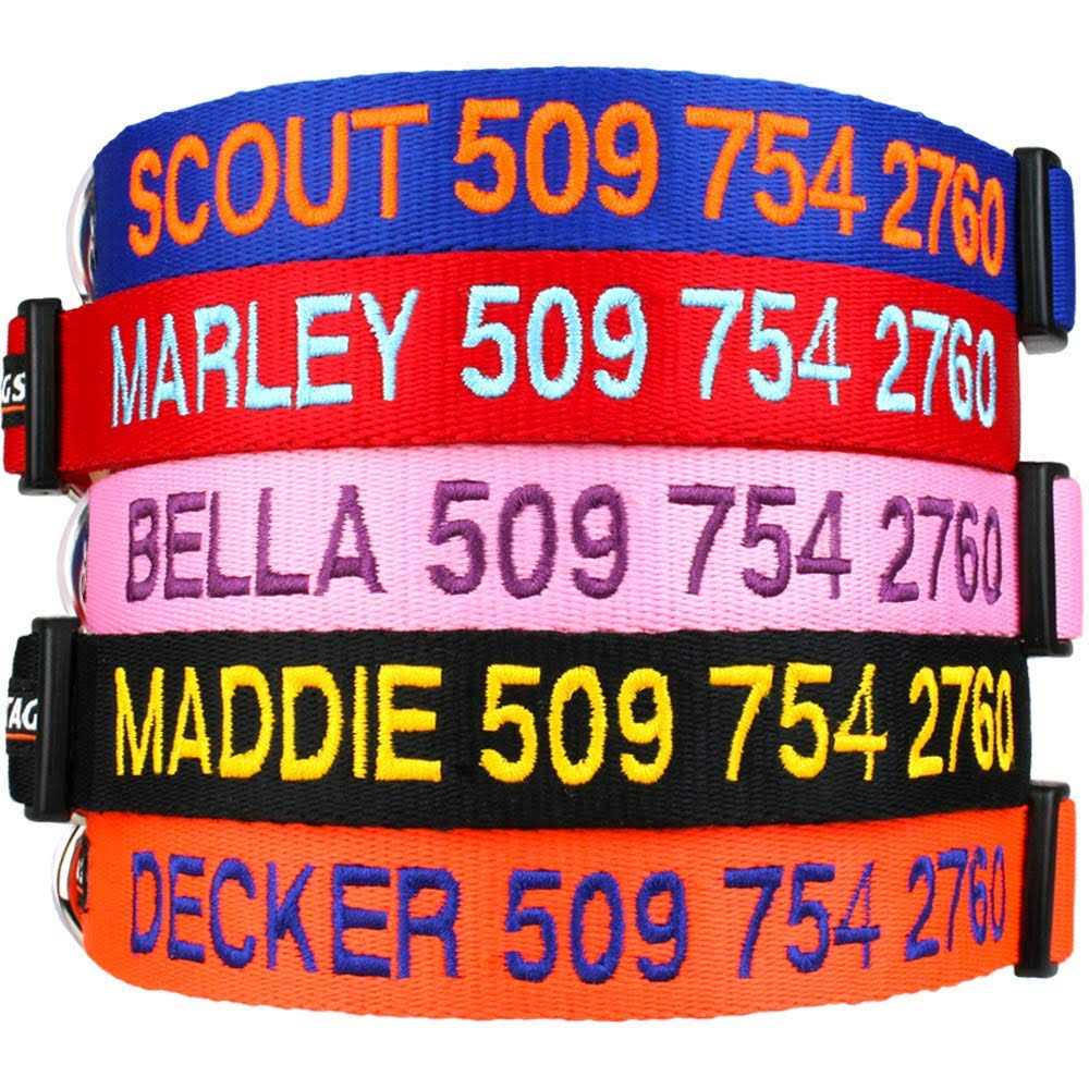 Personalized Dog Collar O74775