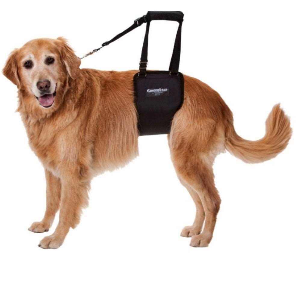 Dog Support Rehabilitation Harness Y840