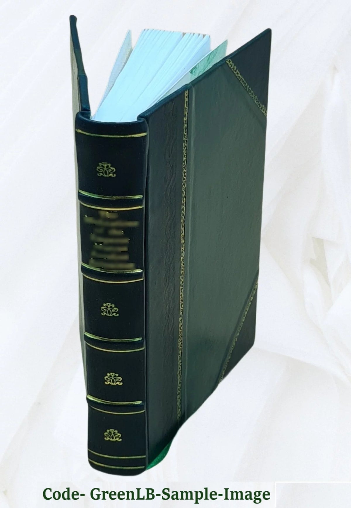 Leather Bound Z454