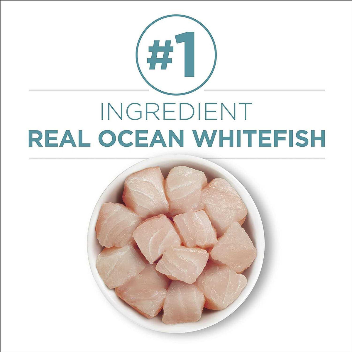 High Protein Ocean Whitefish & Rice Wet Cat Food O9912